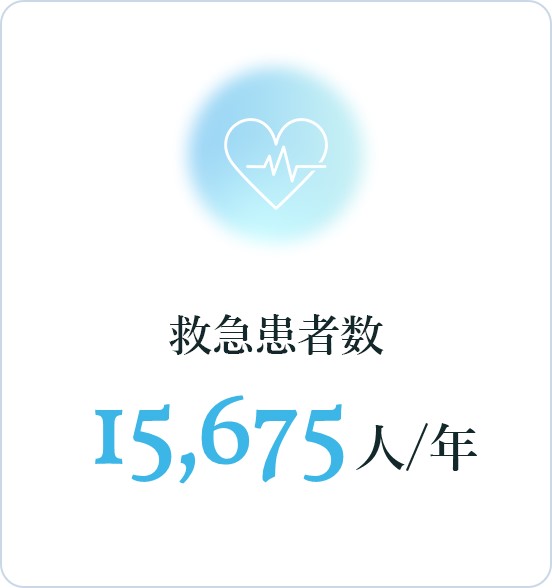 救急患者数：15,675人/年