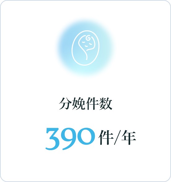 分娩件数：390件/年